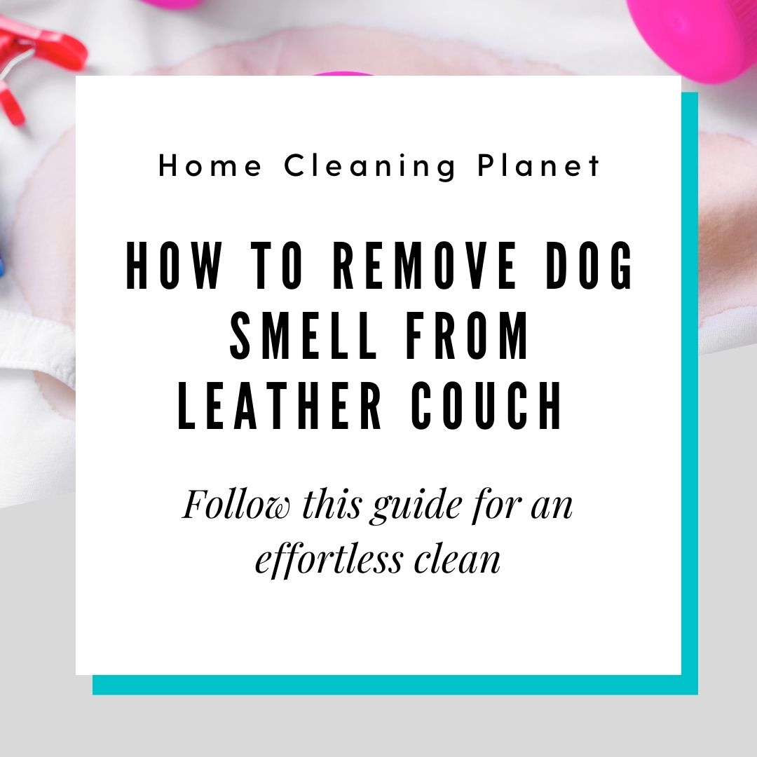 How to Remove Dog Smell From Leather Couch