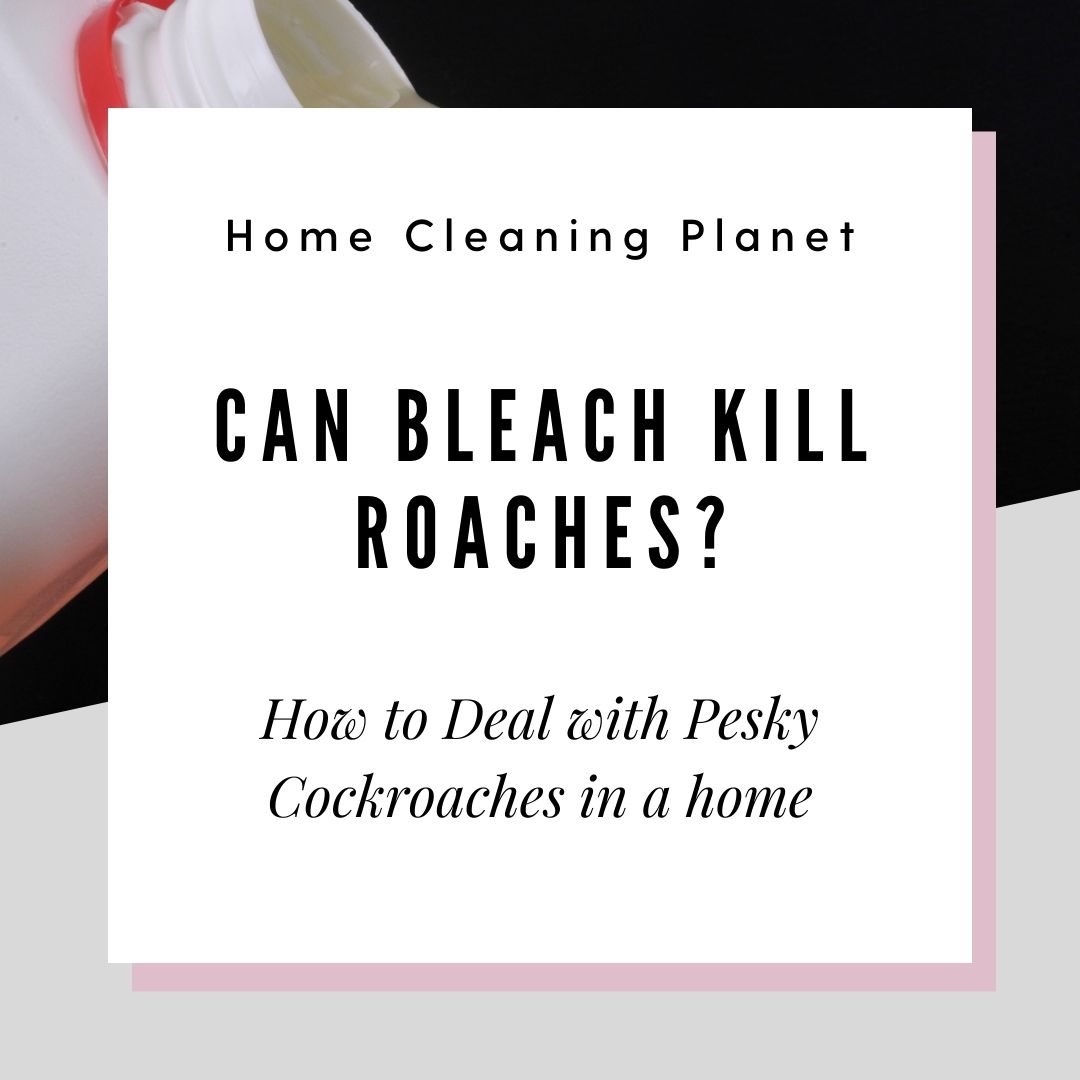 Can Bleach Kill Roaches