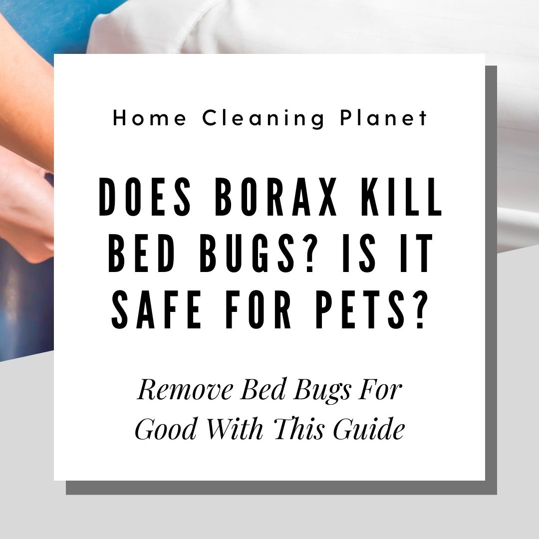 Does Borax Kill Bed Bugs